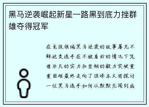 黑马逆袭崛起新星一路黑到底力挫群雄夺得冠军