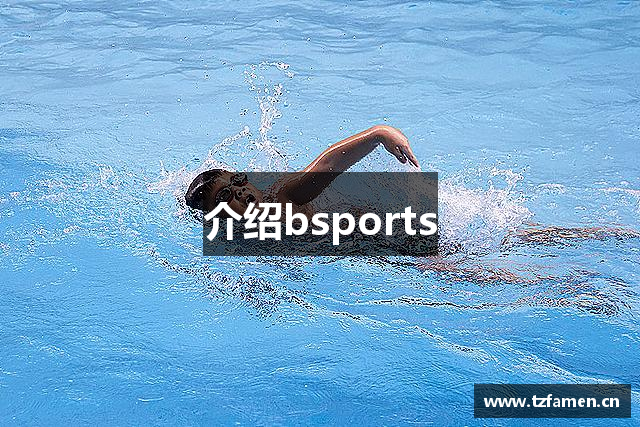 介绍bsports